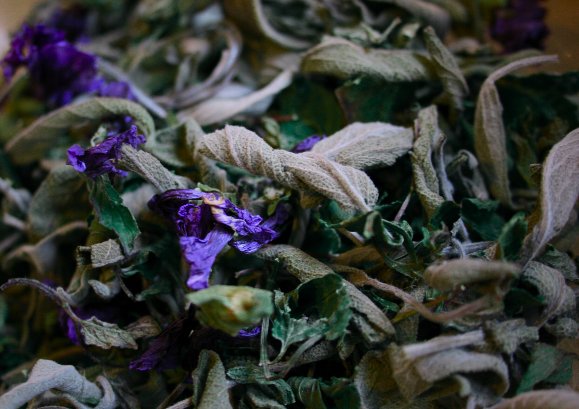 Infusé N°3
