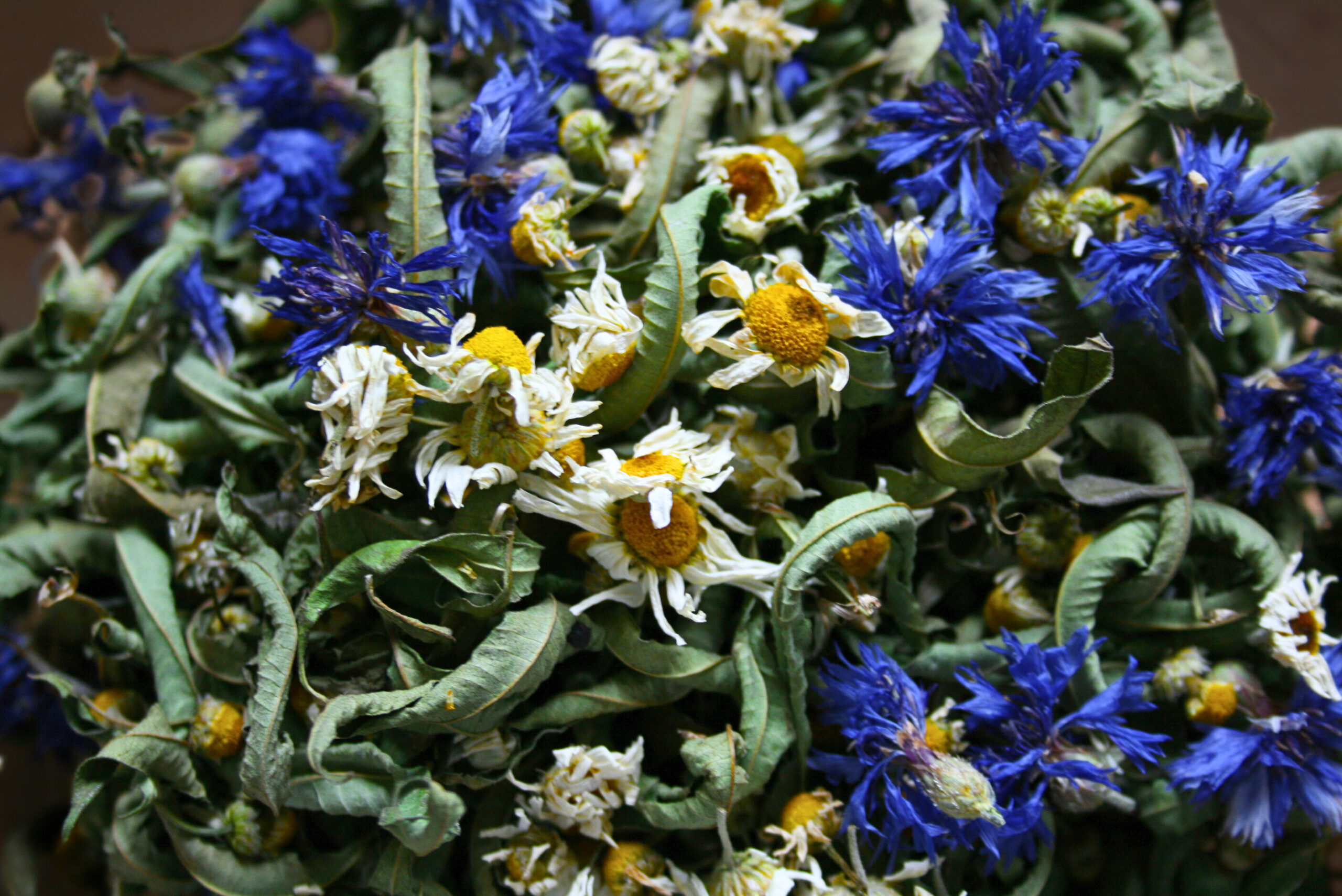 Infusé N°2 – ALPA