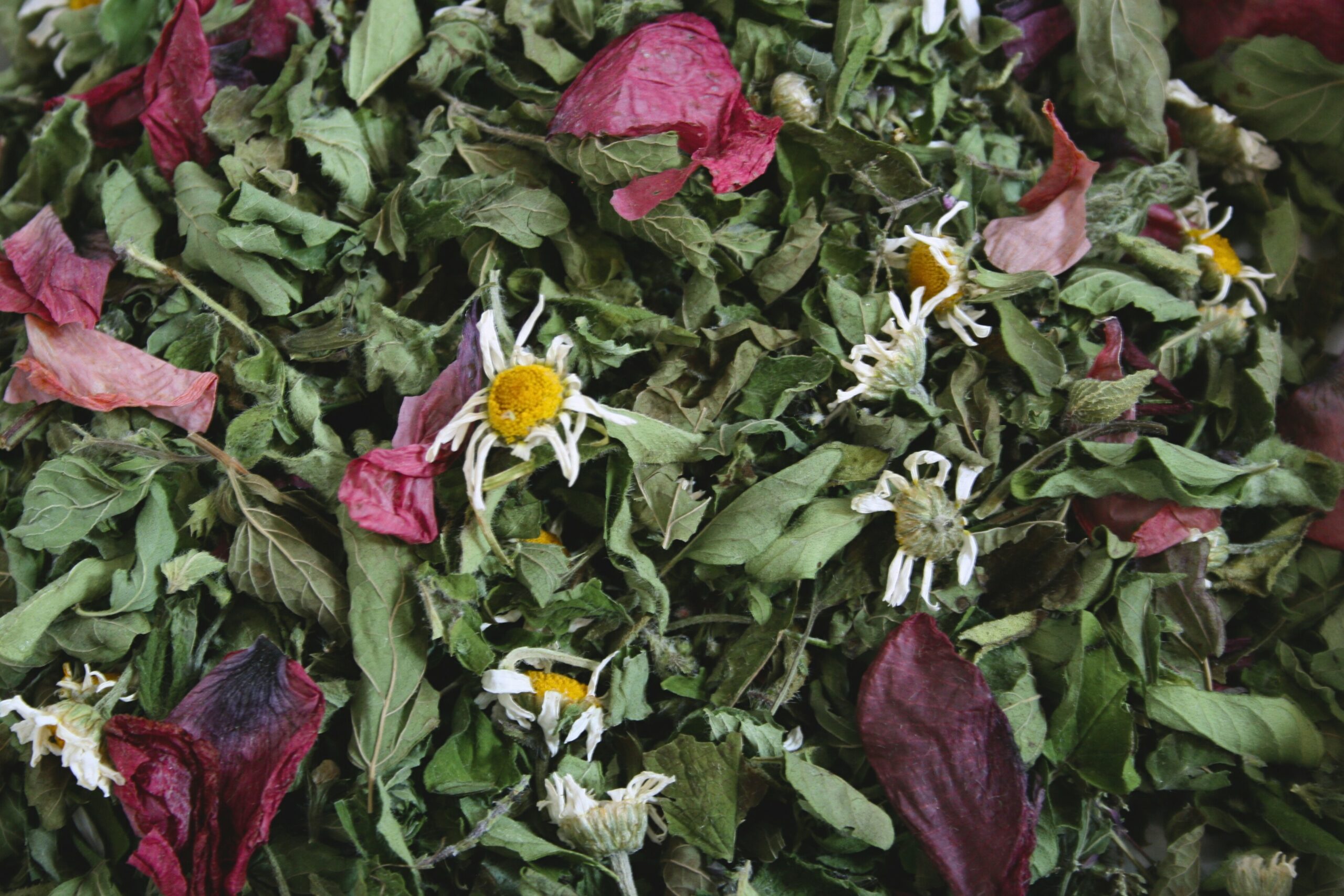 Nuit Sacrée – Composition des plantes séchées