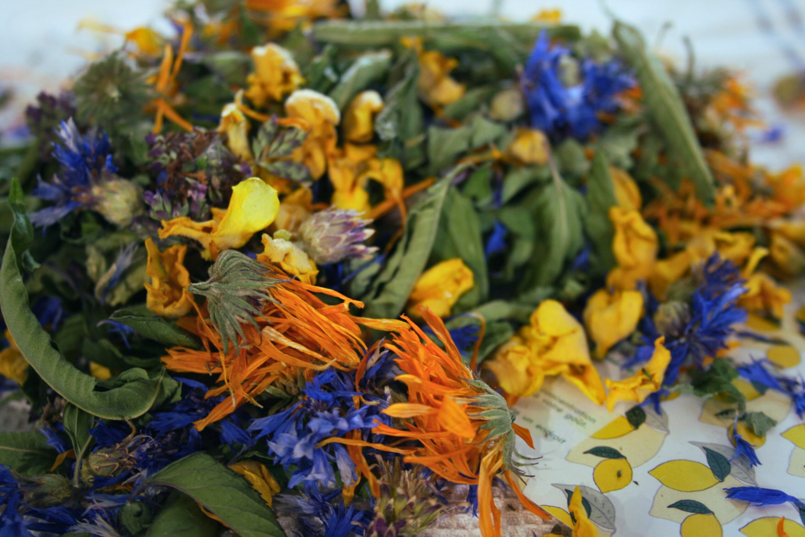 Infusé N°9 – Délice Citronné : plantes en vrac
